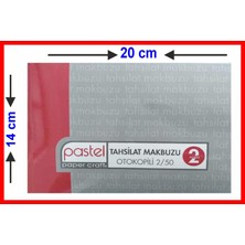 Pastel Tahsilat Makbuzu 14X20 cm Boyutunda 2/50 Otokopili 1 Asıl 1 Suret 2 Nüsha
