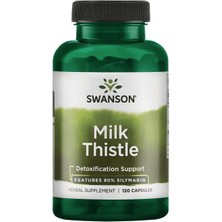 Swanson Milk Thistle Silymarin 500 mg 120 Capsul  Usa