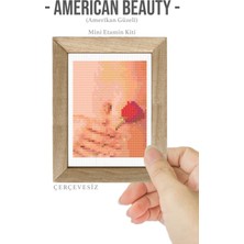 American Beauty (Amerikan Güzeli) Dmc Muline Çerçevesiz Minyatür Etamin Kiti 10X10CM