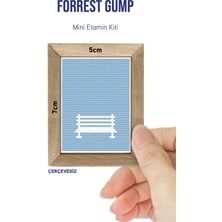 Forrest Gump Dmc Muline Çerçevesiz Minyatür Etamin Kiti 10X10CM