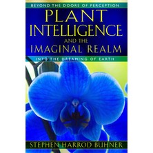 Plant Intelligence And The Imaginal Realm: Beyond The Doors Of Perception Into The Dreaming Of Eart