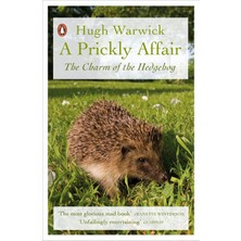 A Prickly Affair: The Charm Of The Hedgehog