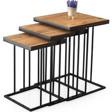 Erezoğulları Mobilya Elit C Zigon Sehpa 3'lü Metal Ayak