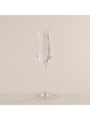 Chakra Festi Şampanya Kadehi Şeffaf/gümüş