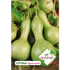 Su Kabağı- Et Kabağı Arzuman (5 Adet)