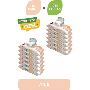 Uni Baby Aile Islak Havlu Kapaklı 12 x 90 Yaprak