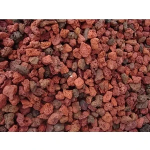 Bahçe Kırmızı Kaktüs Sukulent Volkanik Ponza Lav Taşı 10-15 mm