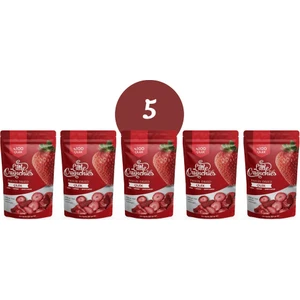 Little Crunchies Freeze Dried Çilek 5'li Paket - Dondurularak Kurutulmuş - 5X20 gr