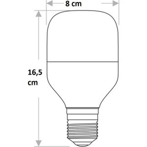 CT 4330 25 W 6400K LED Ampul Beyaz