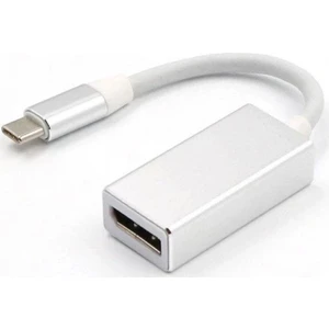 USB 3.1 Type-C Displayport Dişi Çevirici Adaptör