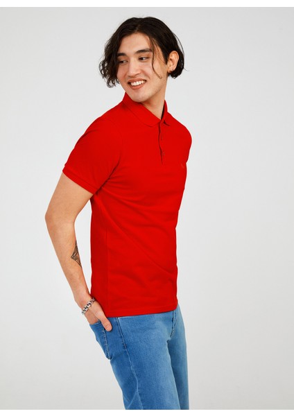 Polo Yaka Düz Kırmızı Erkek T-Shirt TC461310 fiyatları