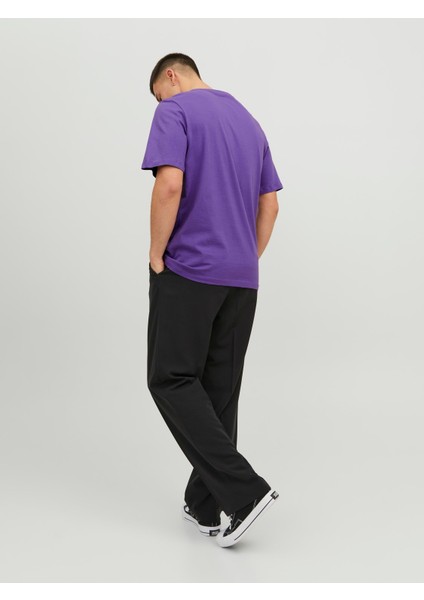 Jorcrown Skull Tee Ss Crew Neck Fst Mor Erkek T-Shirt 12232656-Deep fiyatları