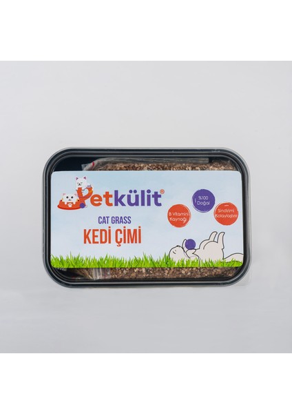 2'li Kedi Çimi -Siyah Kutu