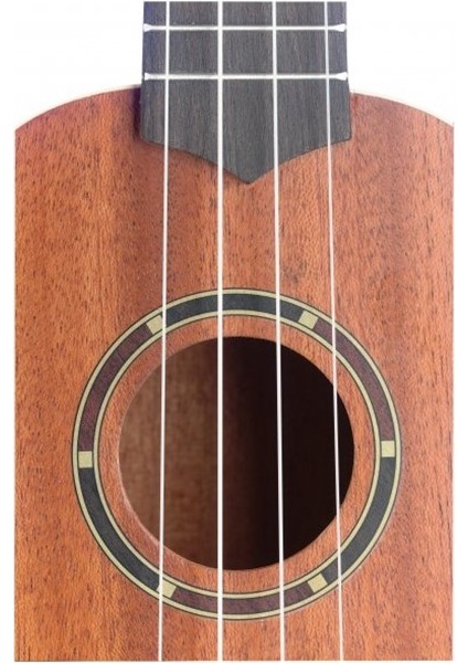 Uc-30 Concert Ukulele Mahogany+Bag fiyatları