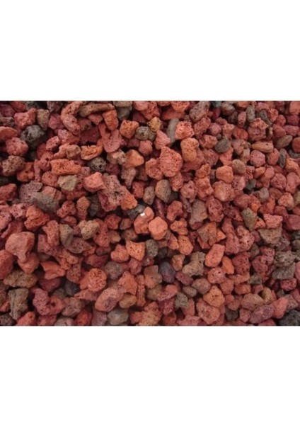 Bahçe Kırmızı Kaktüs Sukulent Volkanik Ponza Lav Taşı 10-15 mm