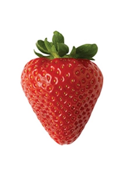 Freeze Dried Çilek 5'li Paket - Dondurularak Kurutulmuş - 5X20 gr modelleri