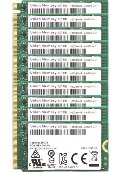 Memory AM620 256GB 10'lu 22x42 M.2 NVMe SSD