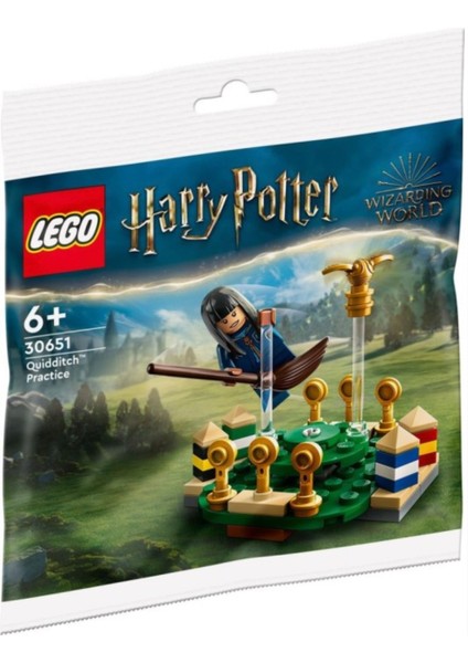 Harry Potter 30651 Quidditch™ Antrenmanı  Polybag (55 Parça)