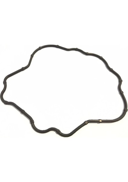 Külbüratör Kapak Contası Mondial Terralander 200