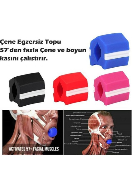 Çene Kası Topu Gıdı Azaltıcı Çene Egzersiz Aleti