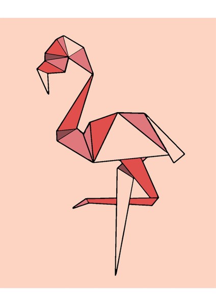 Flamingo Minimalist Sayılarla Boyama Seti 30X40 cm (Tuvale Gerili)