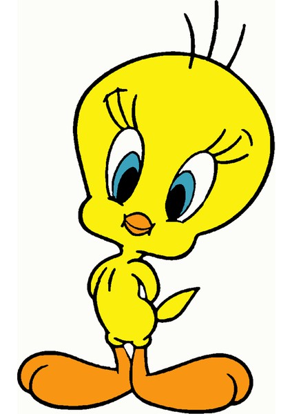 Tweety Bırd Sayılarla Boyama Seti 20X20