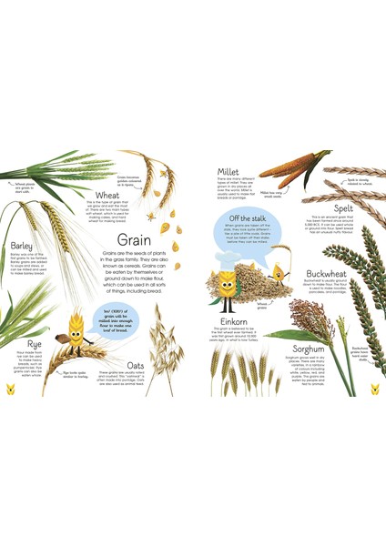 The Best Ever Bread Book fırsatları