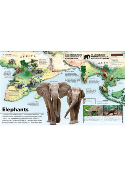 What's Where On Earth? Animal Atlas: The World's Wildlife As You've Never Seen It Before indirimleri