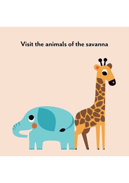 Bookscape Board Books: Wild Animals fiyatları
