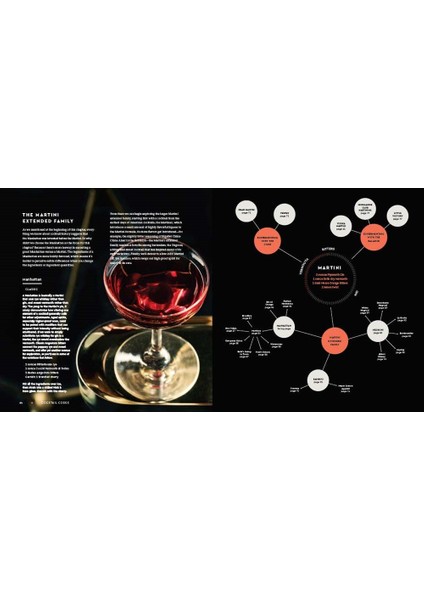 Cocktail Codex: Fundamentals, Formulas, Evolutions fırsatları