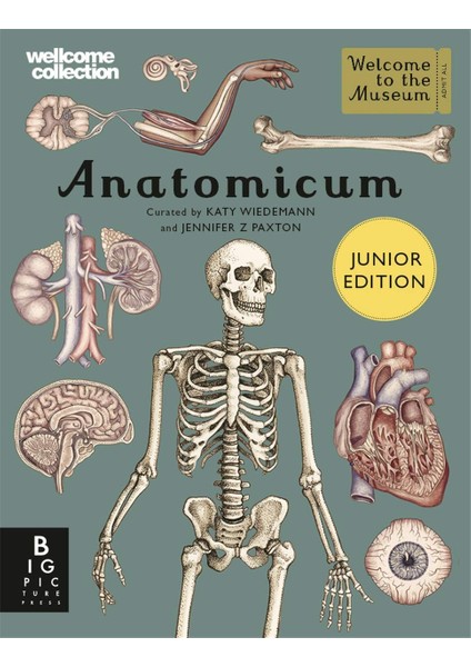 Anatomicum Junior