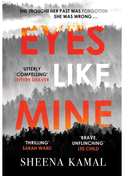 Eyes Like Mine: 'utterly Compelling . . . Will Stay With You For A Long, Long Time' Jeffery Deaver