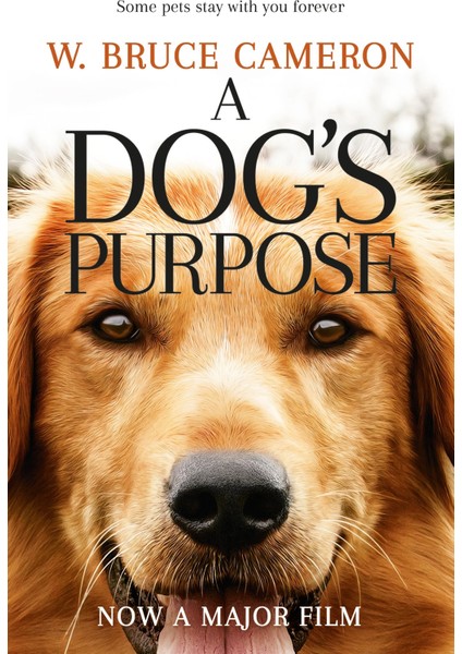 A Dog's Purpose
