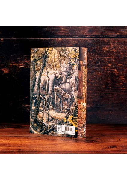 The Fellowship Of The Ring: Illustrated Edition modelleri