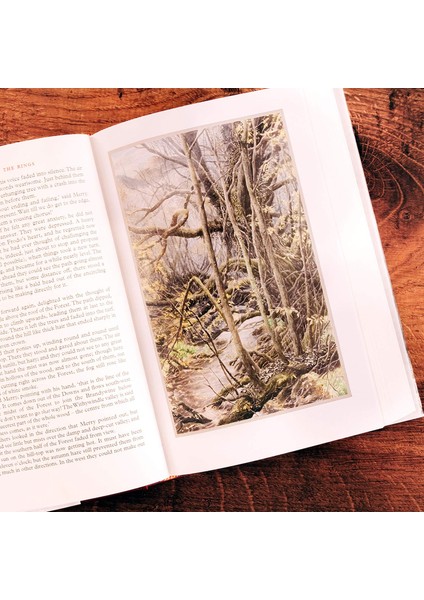 The Fellowship Of The Ring: Illustrated Edition indirimleri