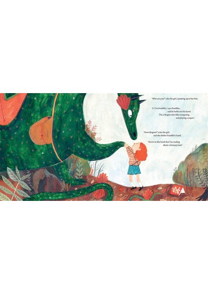 Franklin's Flying Bookshop modelleri