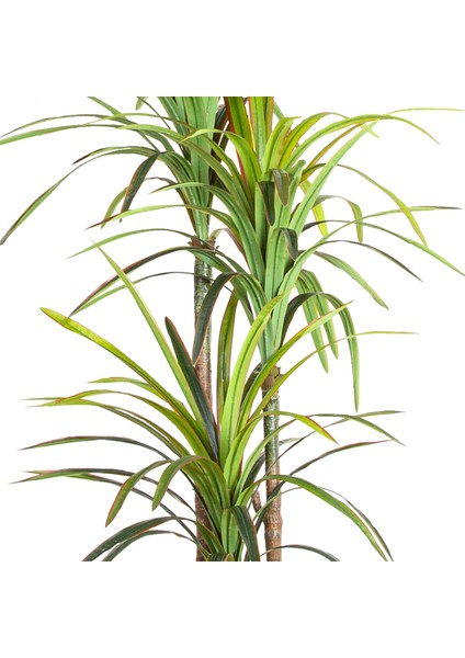 Yapay Dracena Ağacı Gerçek Dokulu 3 Dallı Yeşil 200 Cm. fiyatları