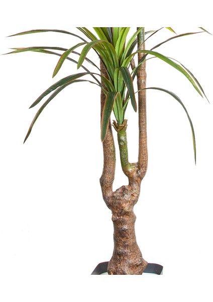 Yapay Dracena Ağacı Gerçek Dokulu 3 Dallı Yeşil 200 Cm. modelleri