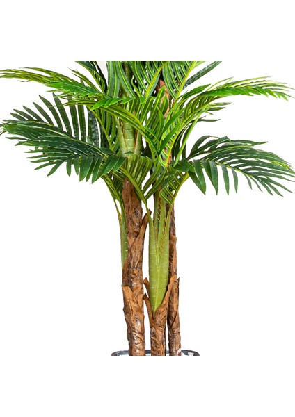 Yapay Areka Palmiye Ağacı Gerçek Dokulu Yeşil 200 Cm. modelleri