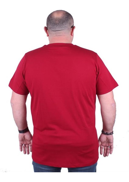 Büyük Beden Erkek Baskılı Tişört Authentic 23134 Bordo10 fiyatları