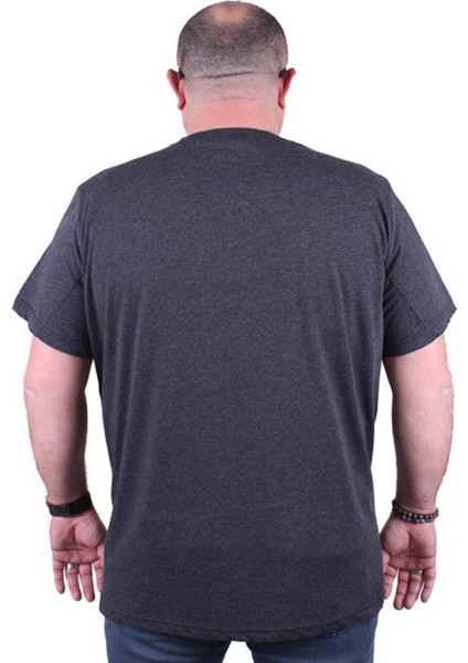 Büyük Beden Erkek Baskılı Tişört Lion 23138 Antrasit Melanj10 fiyatları