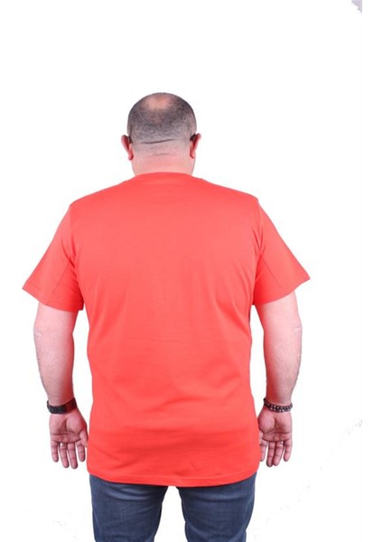 Büyük Beden Erkek Baskılı Tişört Lightning 23132 Nar Çiçeği