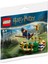 Harry Potter 30651 Quidditch™ Antrenmanı  Polybag (55 Parça) 2