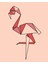 Flamingo Minimalist Sayılarla Boyama Seti 30X40 cm (Tuvale Gerili) 1