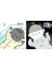 Baby's Black and White Books: Hello! 4