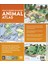 What's Where On Earth? Animal Atlas: The World's Wildlife As You've Never Seen It Before 2
