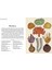Animalium (Mini Gift Edition) 3