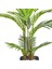 Yapay Palmiye Ağacı Gerçek Dokulu 12 Yapraklı Yeşil 125 Cm. 3