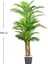 Yapay Areka Palmiye Ağacı Gerçek Dokulu Yeşil 200 Cm. 4