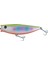 Japanese Salt HG2744 1
